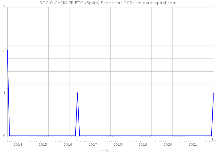 ROCIO CANO PRIETO (Spain) Page visits 2024 