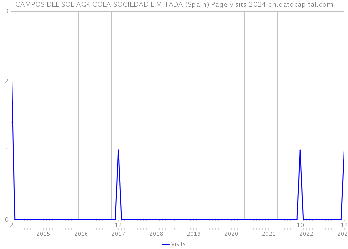 CAMPOS DEL SOL AGRICOLA SOCIEDAD LIMITADA (Spain) Page visits 2024 