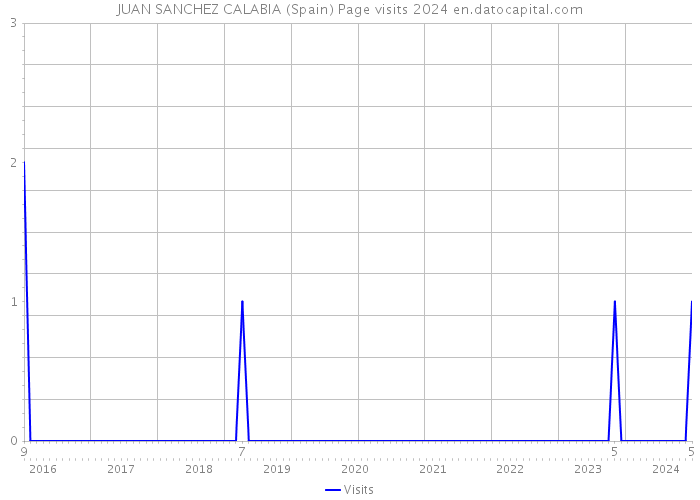 JUAN SANCHEZ CALABIA (Spain) Page visits 2024 