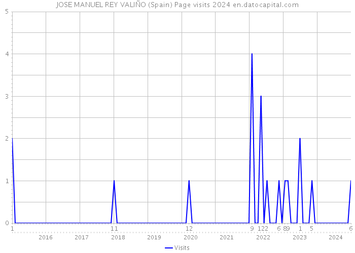 JOSE MANUEL REY VALIÑO (Spain) Page visits 2024 