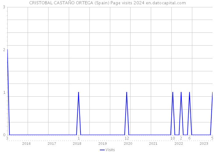 CRISTOBAL CASTAÑO ORTEGA (Spain) Page visits 2024 