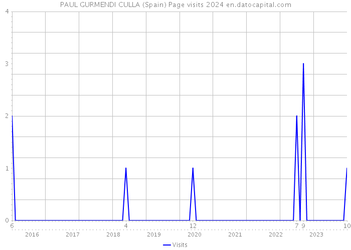 PAUL GURMENDI CULLA (Spain) Page visits 2024 