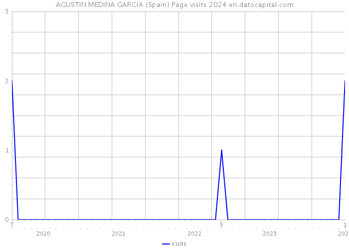 AGUSTIN MEDINA GARCIA (Spain) Page visits 2024 