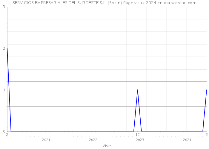 SERVICIOS EMPRESARIALES DEL SUROESTE S.L. (Spain) Page visits 2024 