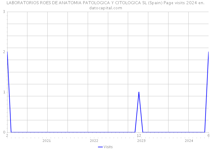 LABORATORIOS ROES DE ANATOMIA PATOLOGICA Y CITOLOGICA SL (Spain) Page visits 2024 