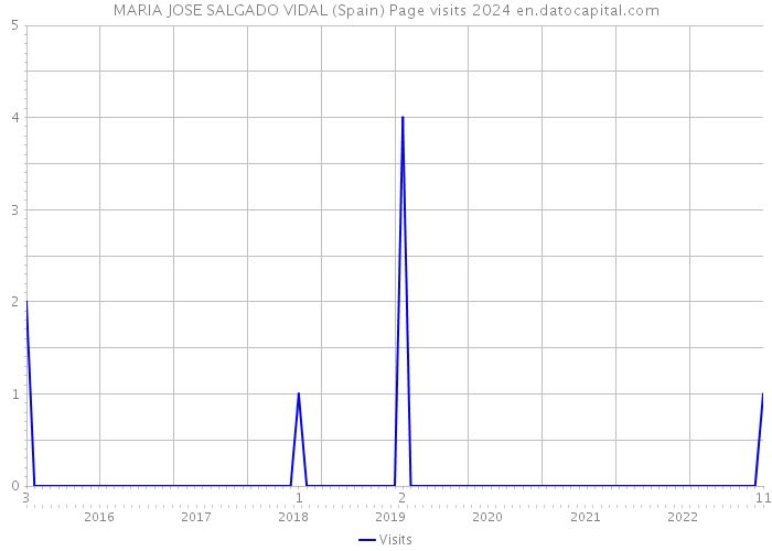 MARIA JOSE SALGADO VIDAL (Spain) Page visits 2024 
