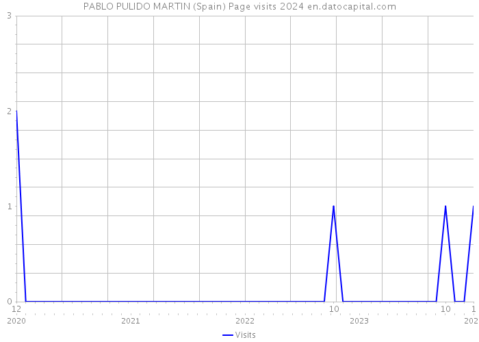 PABLO PULIDO MARTIN (Spain) Page visits 2024 