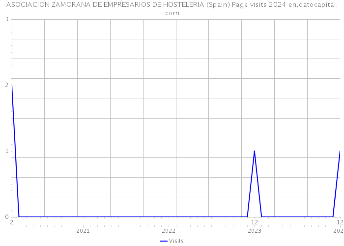 ASOCIACION ZAMORANA DE EMPRESARIOS DE HOSTELERIA (Spain) Page visits 2024 