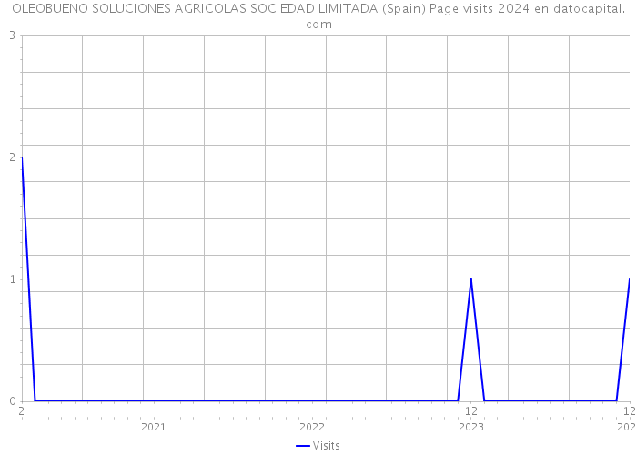 OLEOBUENO SOLUCIONES AGRICOLAS SOCIEDAD LIMITADA (Spain) Page visits 2024 