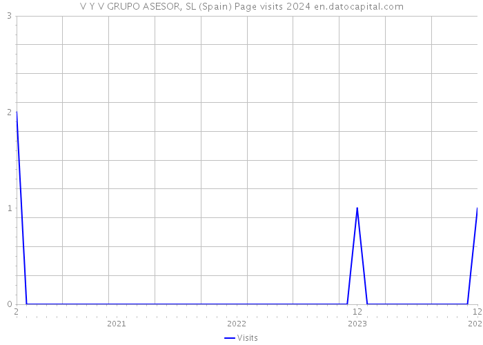V Y V GRUPO ASESOR, SL (Spain) Page visits 2024 
