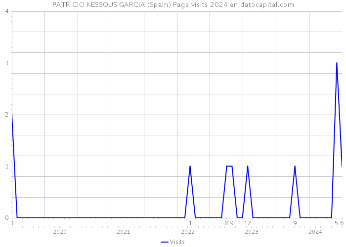 PATRICIO KESSOUS GARCIA (Spain) Page visits 2024 