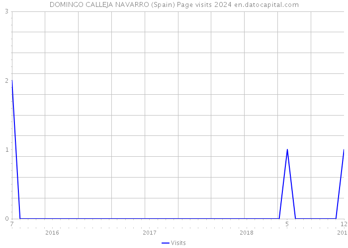 DOMINGO CALLEJA NAVARRO (Spain) Page visits 2024 