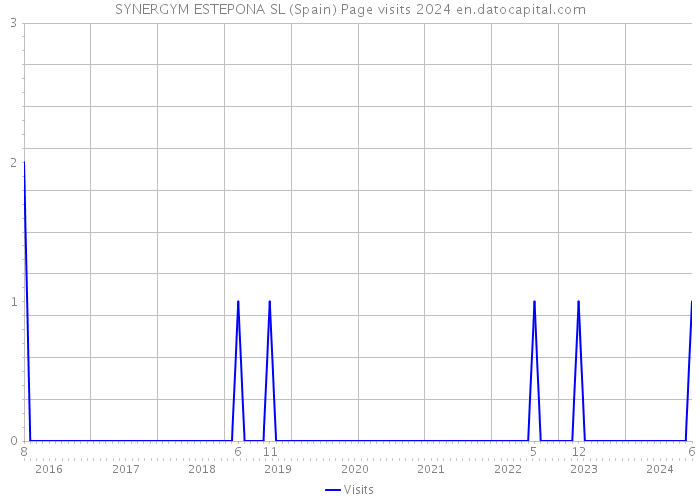 SYNERGYM ESTEPONA SL (Spain) Page visits 2024 