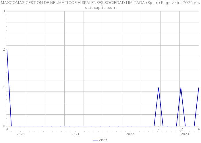 MAXGOMAS GESTION DE NEUMATICOS HISPALENSES SOCIEDAD LIMITADA (Spain) Page visits 2024 