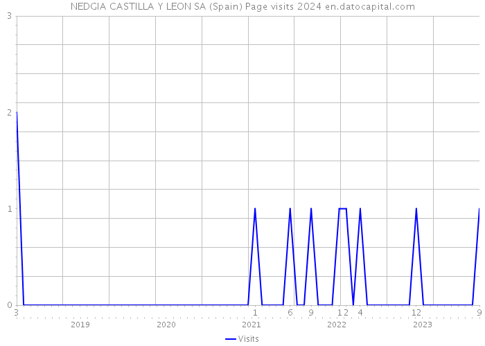 NEDGIA CASTILLA Y LEON SA (Spain) Page visits 2024 
