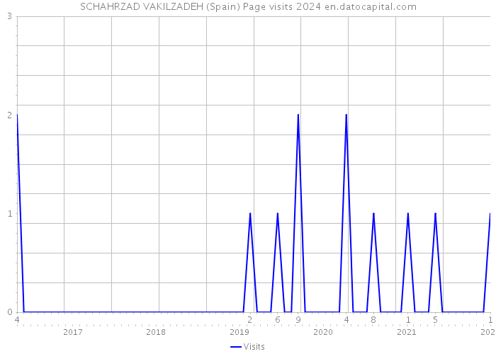 SCHAHRZAD VAKILZADEH (Spain) Page visits 2024 