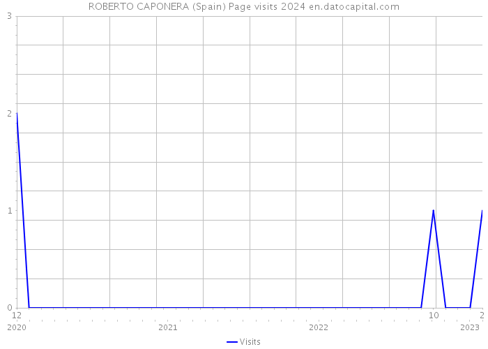 ROBERTO CAPONERA (Spain) Page visits 2024 