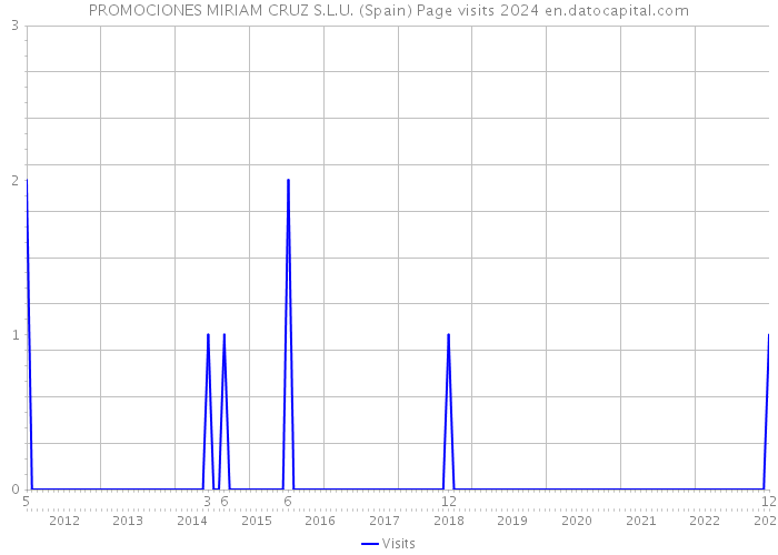 PROMOCIONES MIRIAM CRUZ S.L.U. (Spain) Page visits 2024 