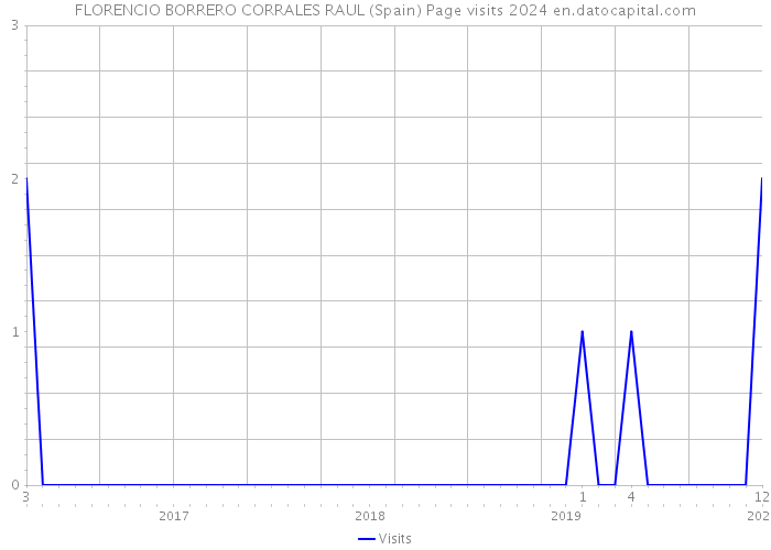 FLORENCIO BORRERO CORRALES RAUL (Spain) Page visits 2024 