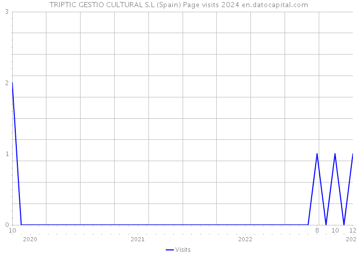 TRIPTIC GESTIO CULTURAL S.L (Spain) Page visits 2024 