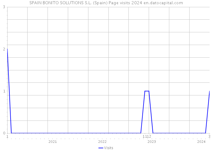 SPAIN BONITO SOLUTIONS S.L. (Spain) Page visits 2024 