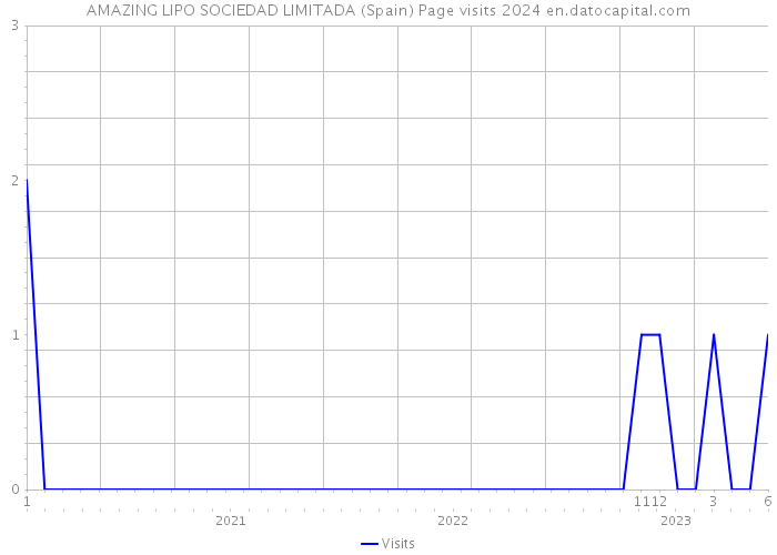 AMAZING LIPO SOCIEDAD LIMITADA (Spain) Page visits 2024 