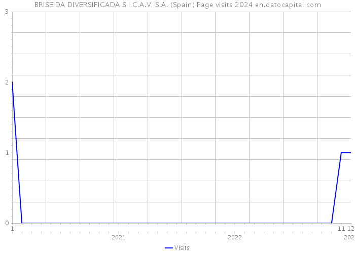 BRISEIDA DIVERSIFICADA S.I.C.A.V. S.A. (Spain) Page visits 2024 