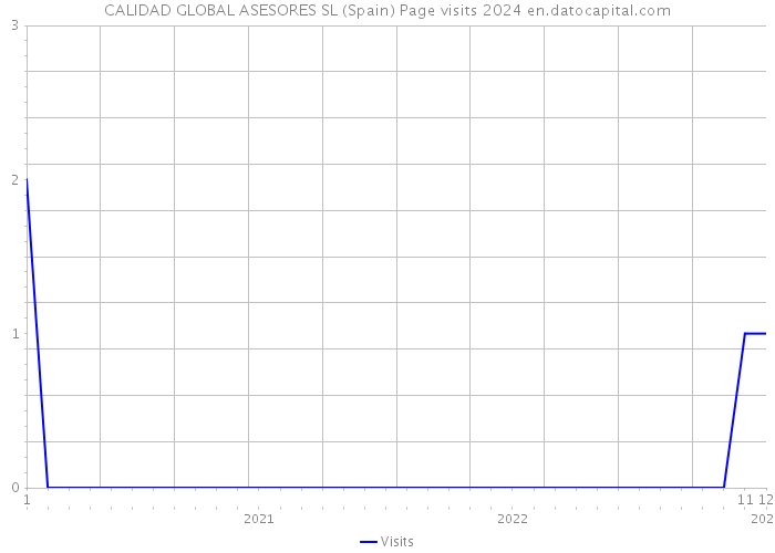 CALIDAD GLOBAL ASESORES SL (Spain) Page visits 2024 