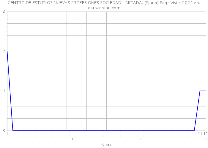 CENTRO DE ESTUDIOS NUEVAS PROFESIONES SOCIEDAD LIMITADA. (Spain) Page visits 2024 
