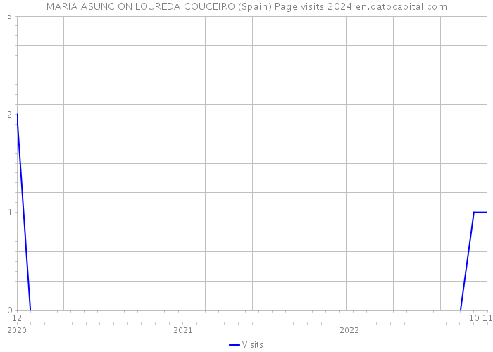 MARIA ASUNCION LOUREDA COUCEIRO (Spain) Page visits 2024 