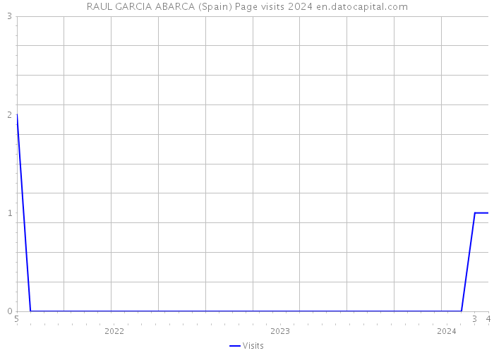 RAUL GARCIA ABARCA (Spain) Page visits 2024 
