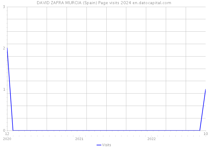 DAVID ZAFRA MURCIA (Spain) Page visits 2024 