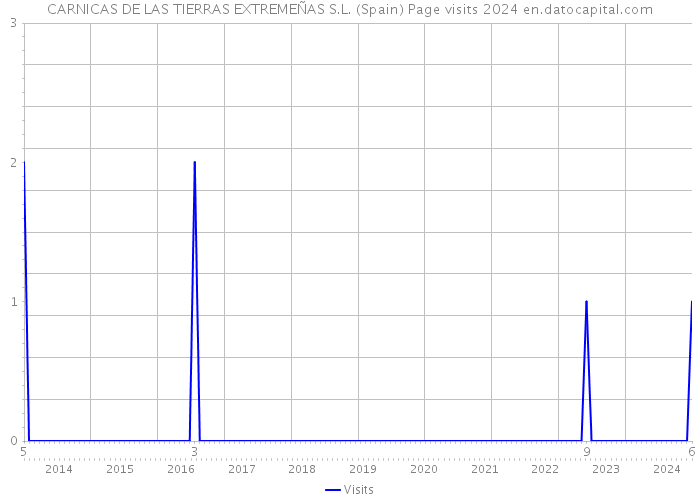CARNICAS DE LAS TIERRAS EXTREMEÑAS S.L. (Spain) Page visits 2024 