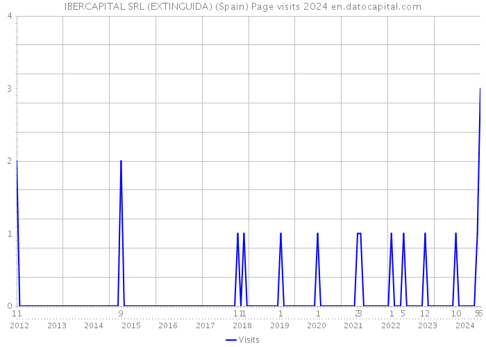 IBERCAPITAL SRL (EXTINGUIDA) (Spain) Page visits 2024 