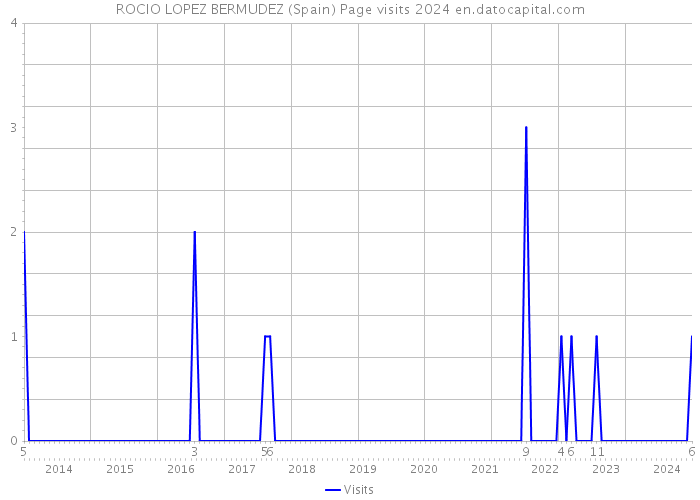 ROCIO LOPEZ BERMUDEZ (Spain) Page visits 2024 