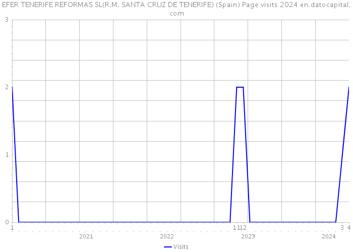 EFER TENERIFE REFORMAS SL(R.M. SANTA CRUZ DE TENERIFE) (Spain) Page visits 2024 