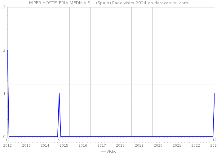 HIPER HOSTELERIA MEDINA S.L. (Spain) Page visits 2024 