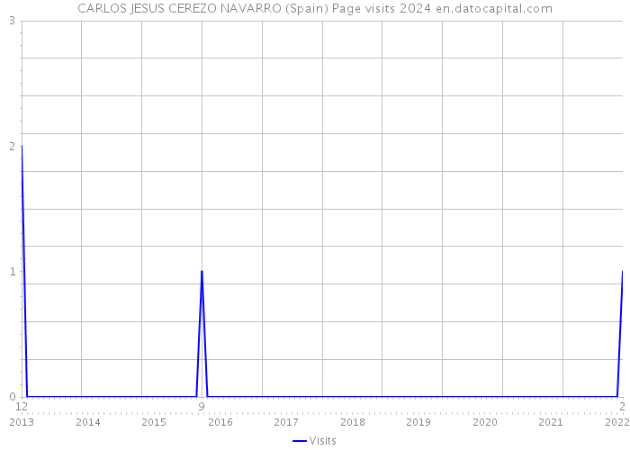 CARLOS JESUS CEREZO NAVARRO (Spain) Page visits 2024 