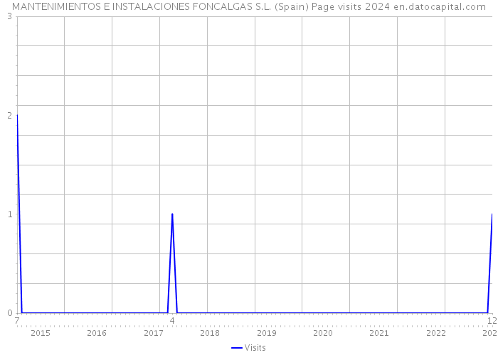 MANTENIMIENTOS E INSTALACIONES FONCALGAS S.L. (Spain) Page visits 2024 
