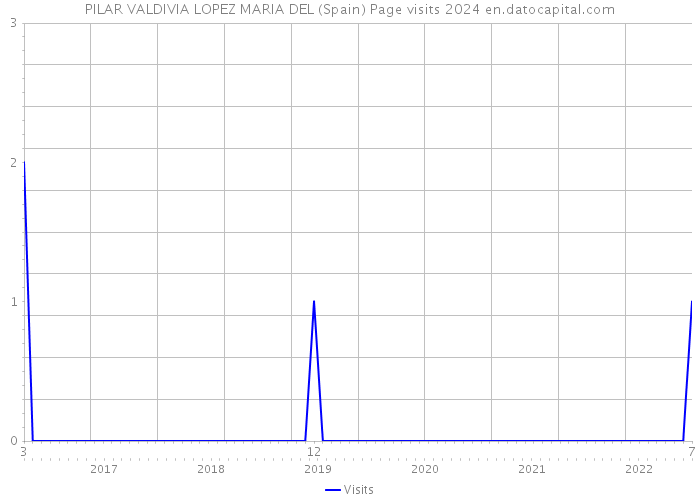 PILAR VALDIVIA LOPEZ MARIA DEL (Spain) Page visits 2024 