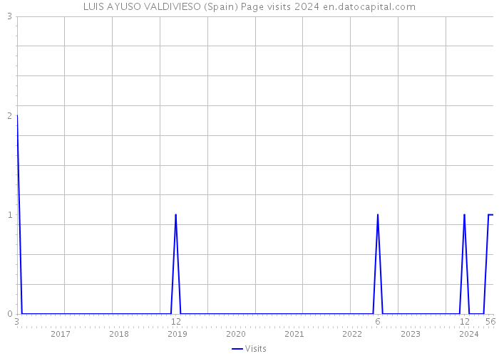 LUIS AYUSO VALDIVIESO (Spain) Page visits 2024 