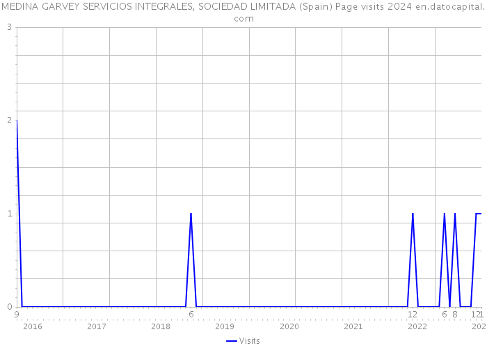MEDINA GARVEY SERVICIOS INTEGRALES, SOCIEDAD LIMITADA (Spain) Page visits 2024 