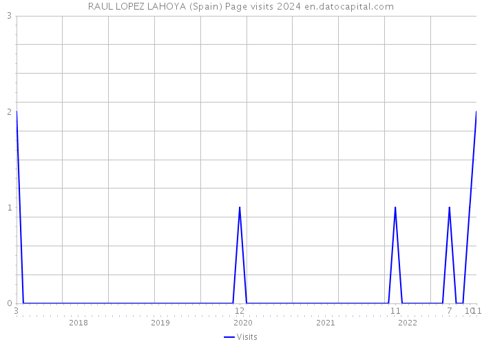 RAUL LOPEZ LAHOYA (Spain) Page visits 2024 