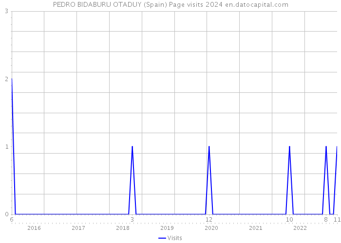 PEDRO BIDABURU OTADUY (Spain) Page visits 2024 