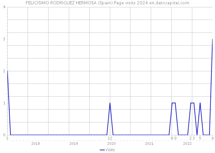 FELICISIMO RODRIGUEZ HERMOSA (Spain) Page visits 2024 