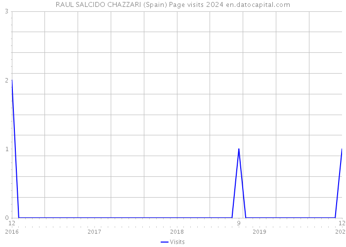 RAUL SALCIDO CHAZZARI (Spain) Page visits 2024 