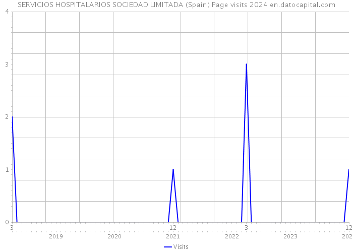SERVICIOS HOSPITALARIOS SOCIEDAD LIMITADA (Spain) Page visits 2024 