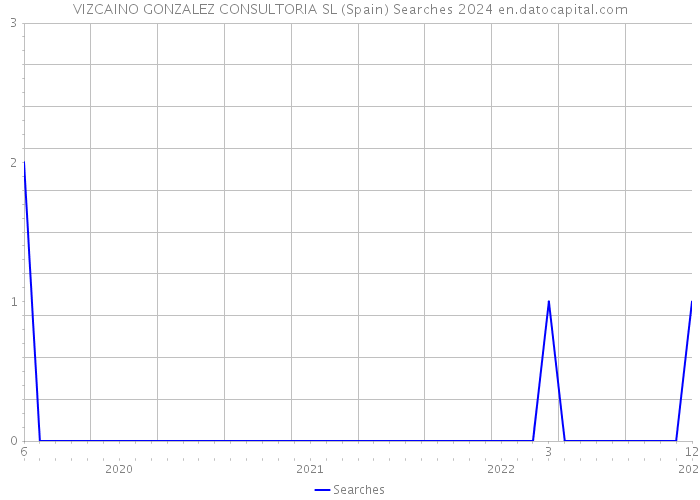 VIZCAINO GONZALEZ CONSULTORIA SL (Spain) Searches 2024 