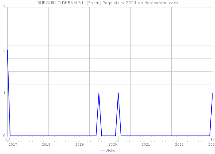 BURGUILLO DREAM S.L. (Spain) Page visits 2024 