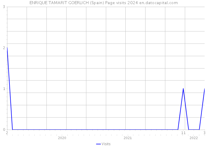 ENRIQUE TAMARIT GOERLICH (Spain) Page visits 2024 